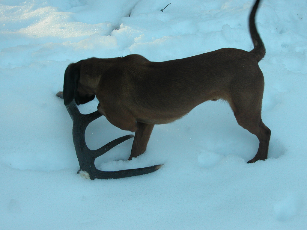 DSCN4817.JPG