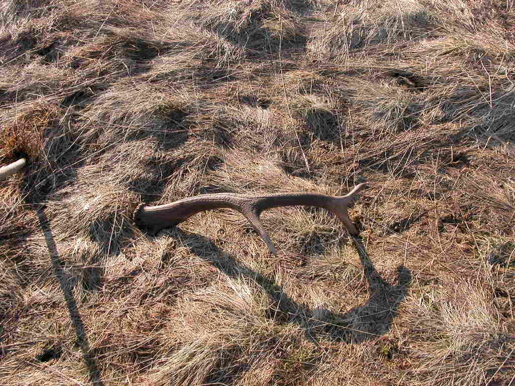 DSCN5180.JPG