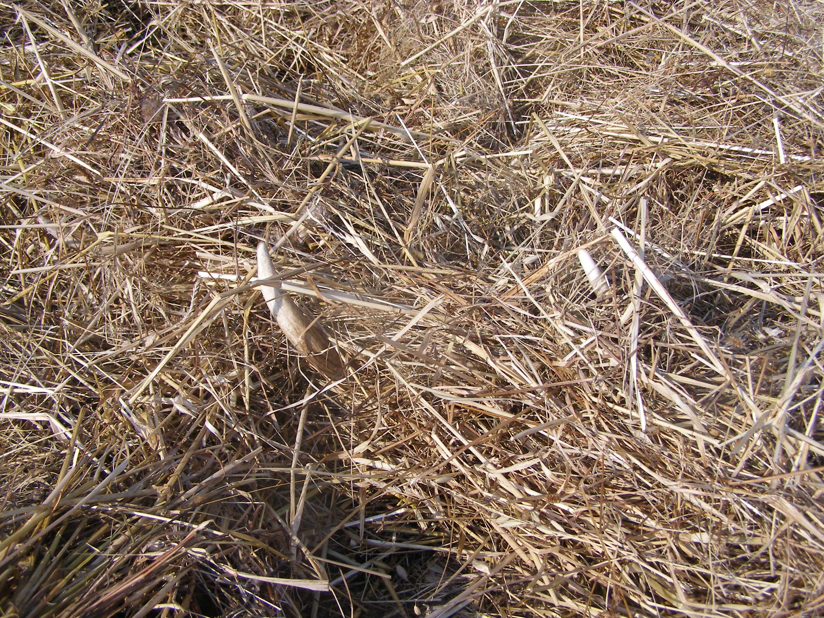 P4080439.JPG