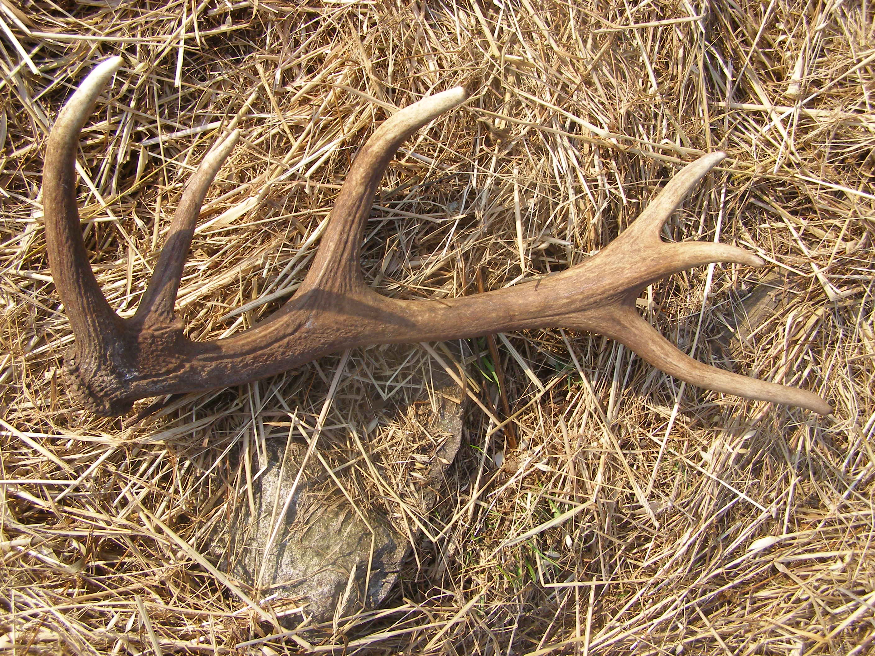P4080440.JPG