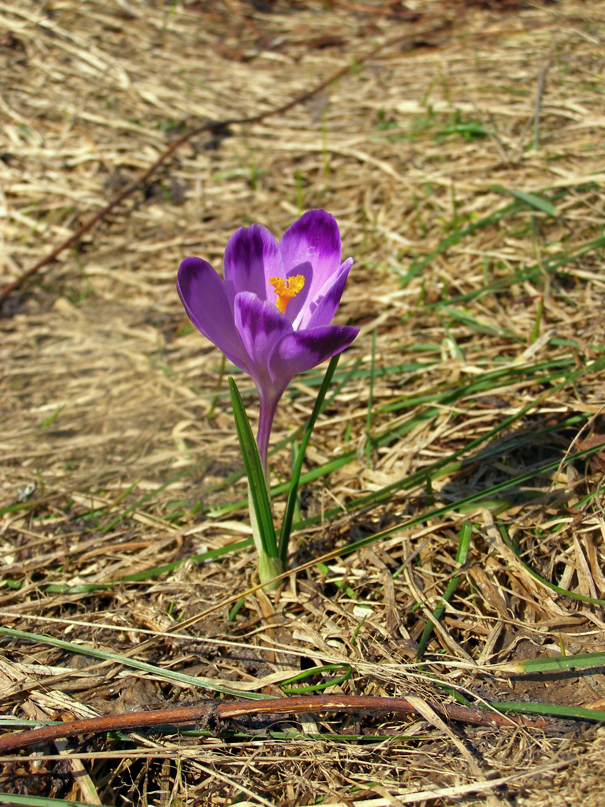 P4120832.JPG