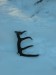 DSCN4818.JPG